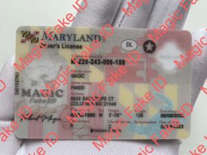 New Maryland Driver License Polycarbonate