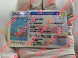 New Delaware Driver License