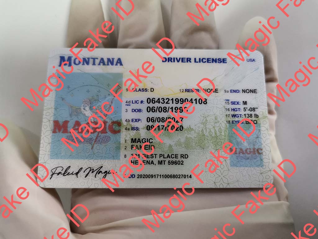 Montana Driver License