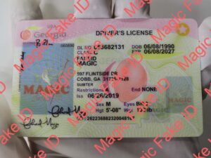 Old Georgia Driver License