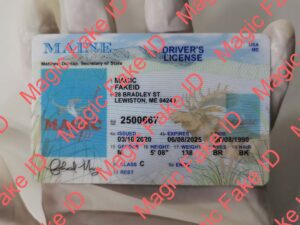Old Maine Driver License