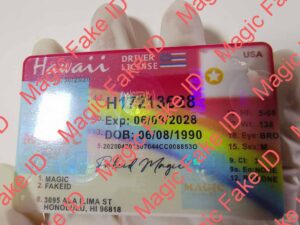 Hawaii Driver License