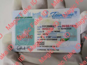 Tennessee Driver License