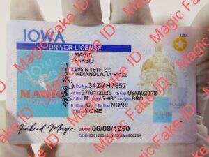 Iowa Driver License