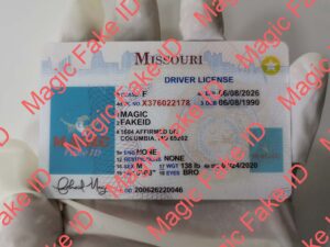 Missouri Driver License