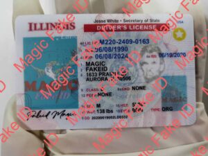New Illinois Driver License