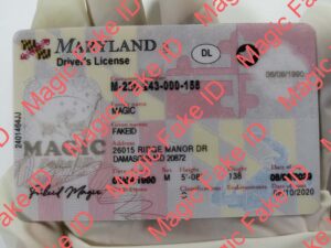 New Maryland Driver License