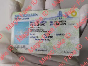Michigan Driver License
