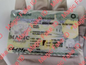 Vermont Driver License