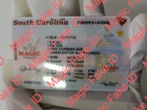 New South Carolina Driver License