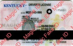 Kentucky Driver License 2024 Polycarbonate