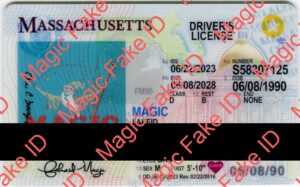 Massachusetts Driver License