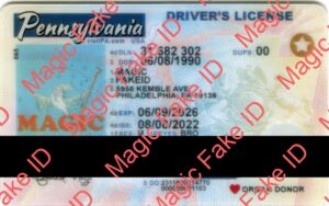New Pennsylvania Driver License Polycarbonate