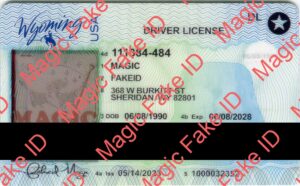 Wyoming Driver License