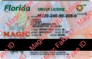 New Florida Driver License Polycarbonate