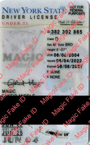 New York Driver License U21 Polycarbonate