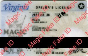 Virginia Driver License Polycarbonate 2023