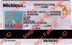 New Michigan Identification Card
