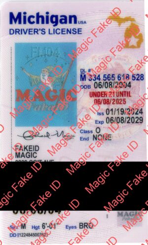 New Michigan U21 Driver License