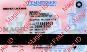 Tennessee Driver License O21 2025 Polycarbonate