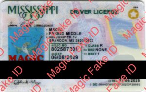 New Mississippi Driver License 2023 Polycarbonate