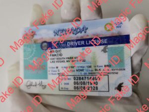 Old Nevada Driver License